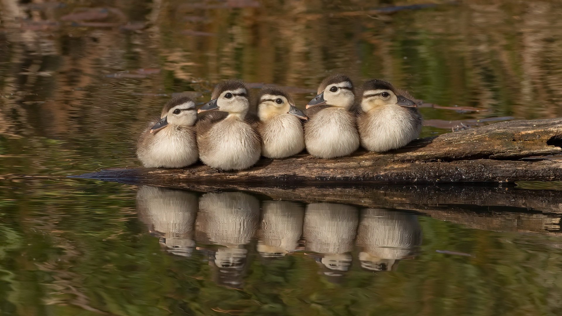 爱游戏app-“赛季潜力股：未来大热门球员盘点”，2021最有潜力球员