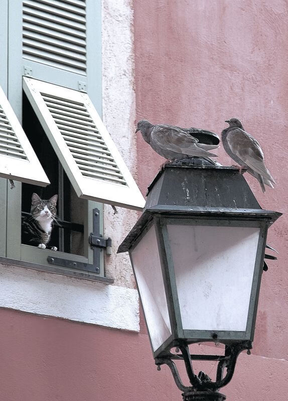 “青春拼搏”全国青少年篮球公开赛激烈角逐冠军，全国青少年篮球俱乐部冠军联赛