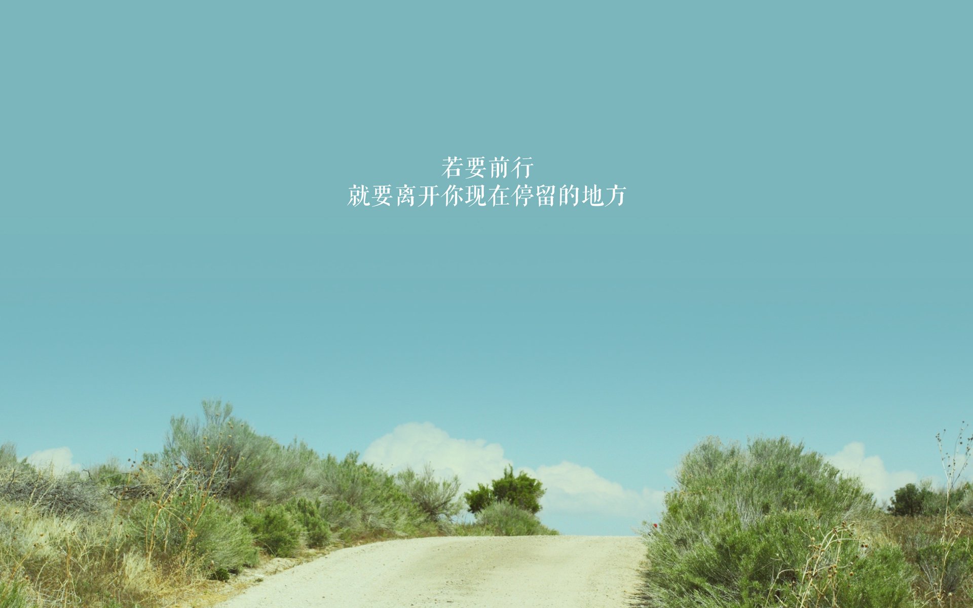 AYX体育官网-【坎坷之路】马克·塞尔比从逆境到巅峰的心路历程，马克塞尔比历史地位