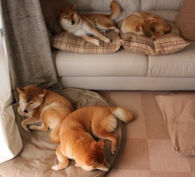 爱游戏登录入口-中国青少年足球联赛开幕，培养未来之星，中国青少年足球发展计划